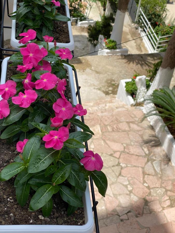 Apartamente Berti'S Garden Saranda Kültér fotó