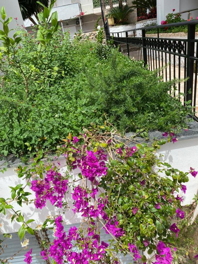 Apartamente Berti'S Garden Saranda Kültér fotó