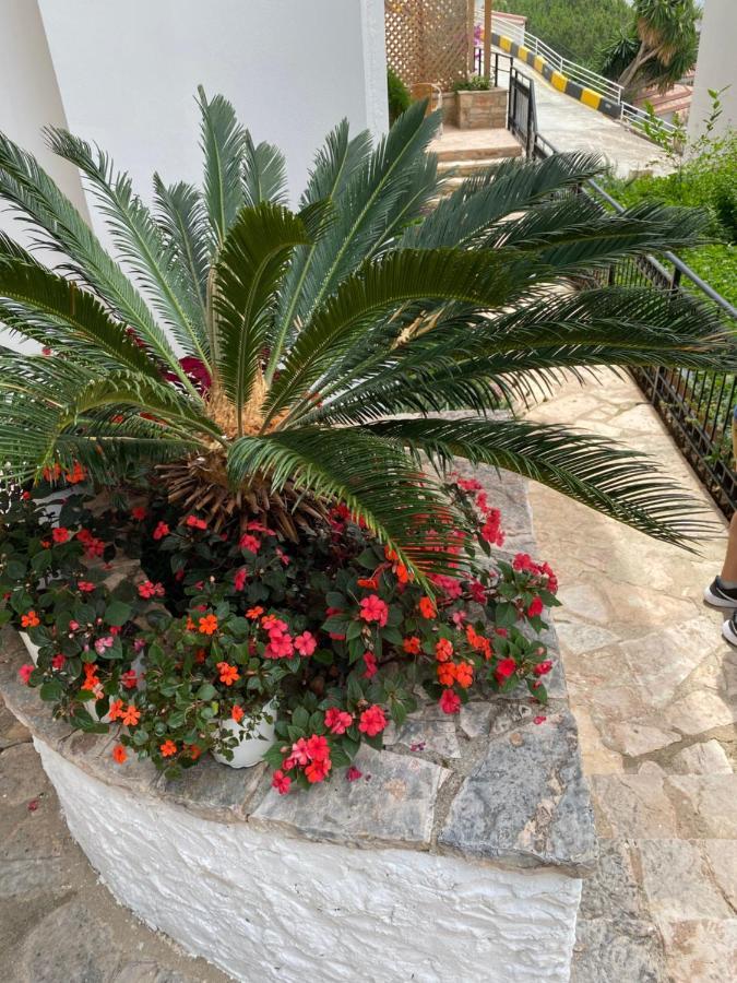 Apartamente Berti'S Garden Saranda Kültér fotó